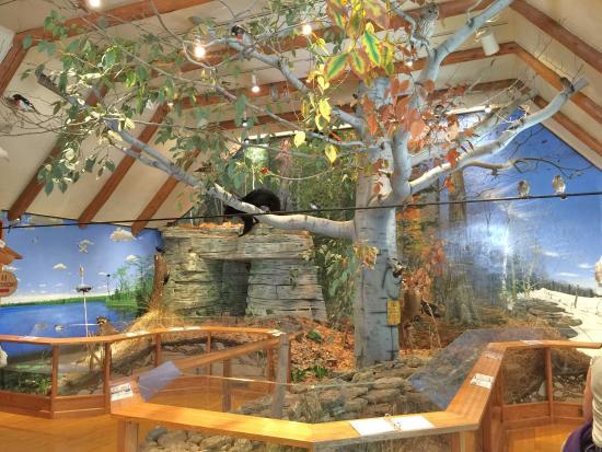 Door County Historical Museum